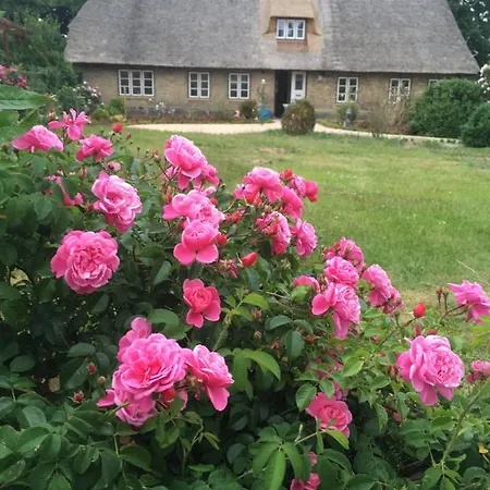 Koopmanns-hus アパート *